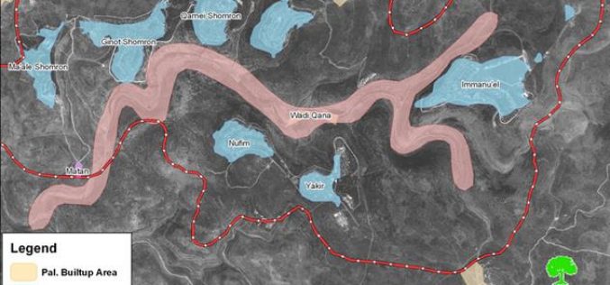إخطارات بإخلاء أراضي زراعية  في دير ستيا / محافظة سلفيت