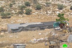 إخطار 4 عائلات بهدم منشآتهم  قرية رافات – محافظة سلفيت