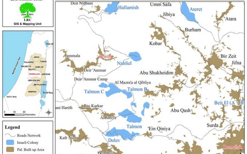 Ruining 32 Olive Trees in Beitillu – Ramallah Governorate