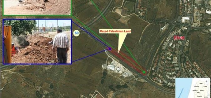 Efrat to expand on Palestinian Agricultural lands