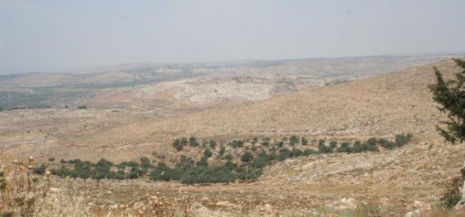 الاحتلال الإسرائيلي يشرع بشق طريق عسكري جديد لاستيلاء على المئات من الدونمات الزراعية  في قرية دير قديس- محافظة رام الله