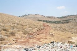 “Israeli Piracy During the Daylight” The Israeli Bulldozers Started to Razing Lands in Deir Qiddis in order to loot more than 100 dunums of Deir Qiddis lands southwest of Ramallah