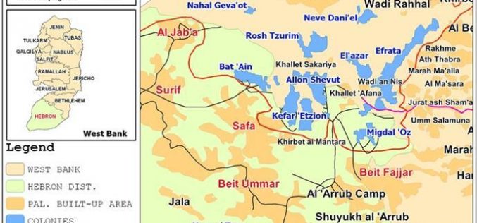 الاعتداء على كروم العنب في بلدة بيت أمر في محافظة الخليل