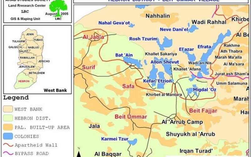 Attack on Grape Trees in Beit Ummar – Hebron Governorate