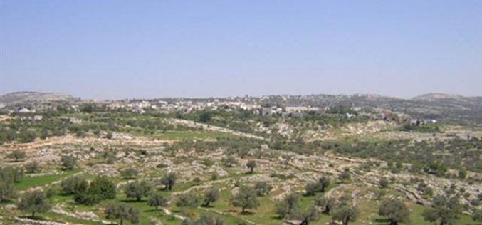 الاحتلال الإسرائيلي يحرق عشرات الدونمات الزراعية في قرية بلعين – محافظة رام اللة