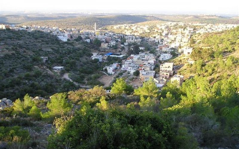 الاحتلال الإسرائيلي يستهدف المفاحم في قرية برطعة الشرقية- جنين