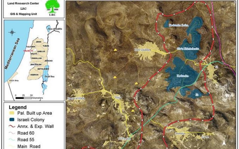 Setting Tens of Olive Trees Alight in  Kafr Qaddum – Qalqiliya