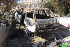 مستعمرون يحرقون سيارة مواطن في البقعة شرق الخليل