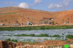 The Demolition of a Brux, an Agricultural Room and a Water Network in Al Hamra Area – Tubas Governorate