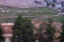 نصب 50 قبر وهمي تمهيداً للسيطرة على قطعة أرض في سلوان -مدينة  القدس