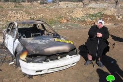 مستعمرون يحرقون سيارة مواطنة في تل الرميدة – محافظة الخليل