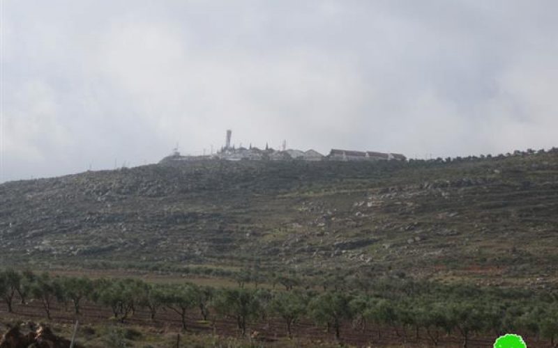 Land Eviction Notification in Qusra and Jurish – Nablus Governorate
