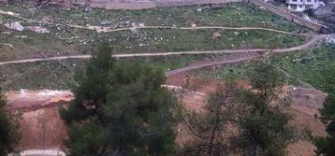 Placing Fifty Phony Graves in a Plot of land in Silwan city