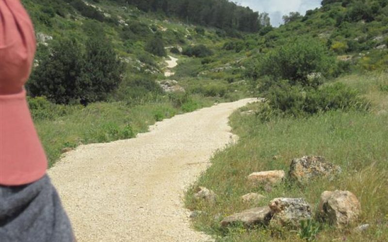 Connecting Colonies in Wadi Qana with a road Network