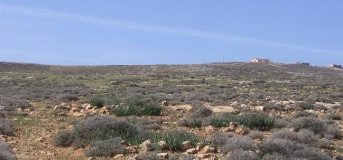 Mitsadut colonists Cultivate Palestinian Lands
