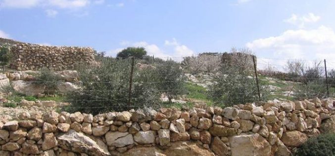 Land Eviction Notices in Beit Ulla