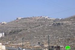 Colonists Plant Palestinian Lands with Forest Trees in Al baq’a and al Idessa – Hebron city