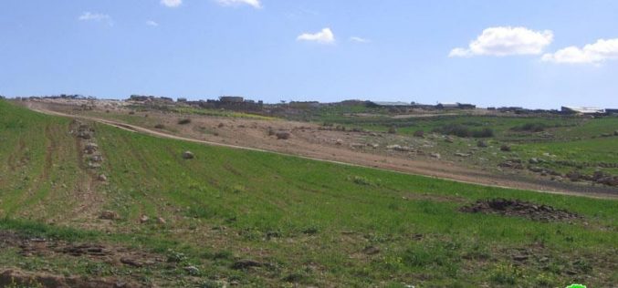 مستعمر يحاول سرقة قطيع أغنام من خربة زنوتة في جنوب شرق الظاهرية – محافظة الخليل