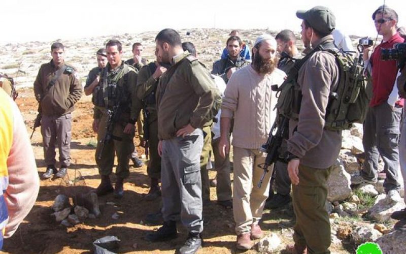 Suseya Colonists Attacks Palestinians While Farming Their Lands in Yatta town  – Hebron Governorate.