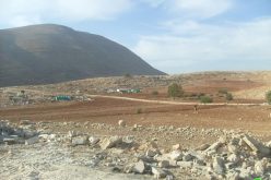 Brux Demolition in Khirbet Tana – Nablus Governorate