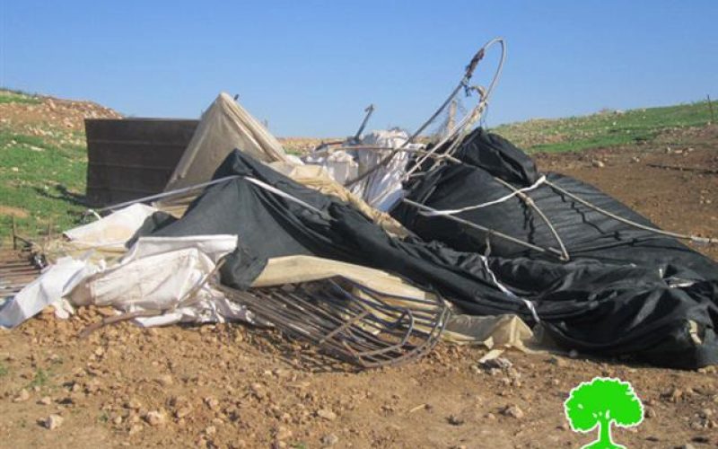 الاحتلال الإسرائيلي  يهدم بركسيين زراعيين في قرية الجفتلك – محافظة  أريحا