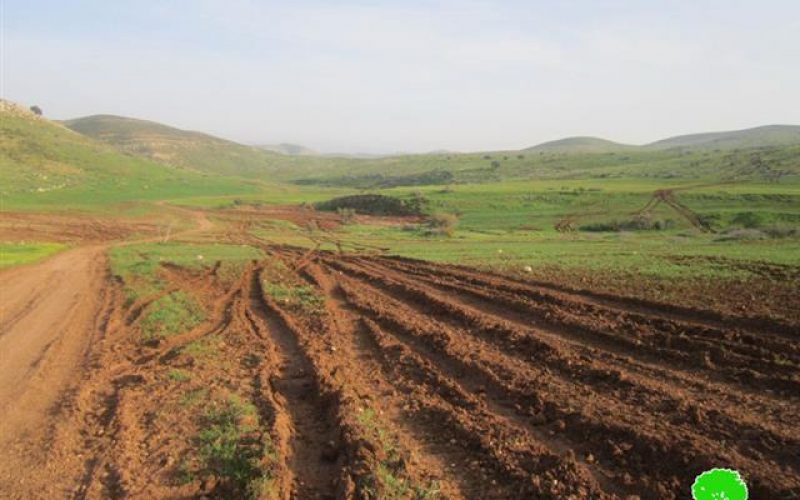 Iraeli Occupation Forces Level tens of Dunums in the Jordan Valley