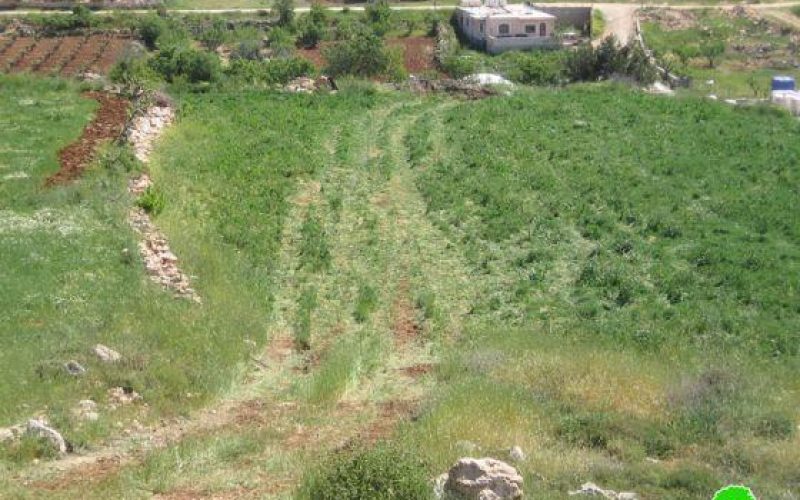 Demolishing a Cistern in Al Harayeq