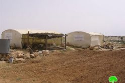 إخطارات بوقف العمل في خيام زراعية في خربة سوسيا