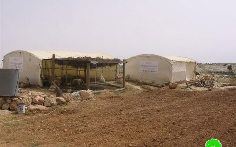 Stop-work Orders in Susiya