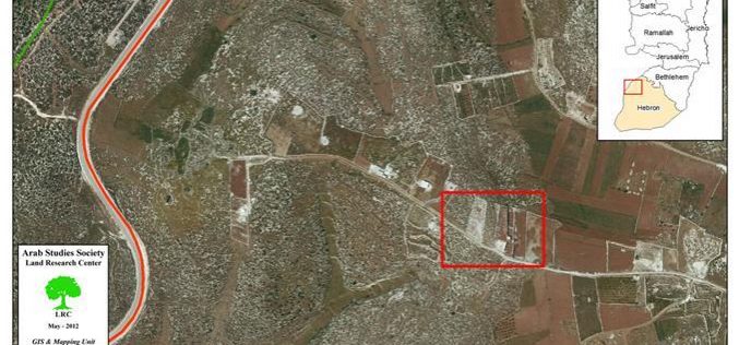 تجريف أراضي زراعية  واقتلاع 400 شتلة زيتون ولوزيات في بيت أولا / محافظة الخليل