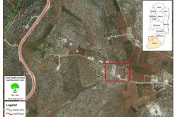 Bulldozing Lands…Uprooting Seedlings in Beit Ulla