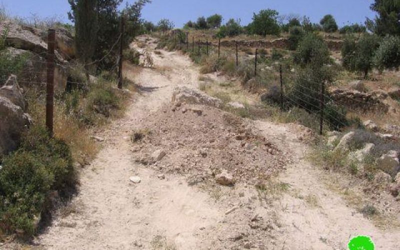 Demolishing a Cistern in Wadi Hora