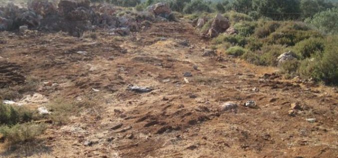 Israeli Settlers stealing soil from Palestinian fields in Wadi Qana
