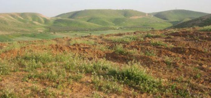 مع بداية موسم الزراعة في الأغوار الاحتلال يحول أراضي الأغوار إلى أرض محروقة