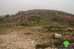 Plans to confiscate over 30 Dunums of Palestinian Lands
