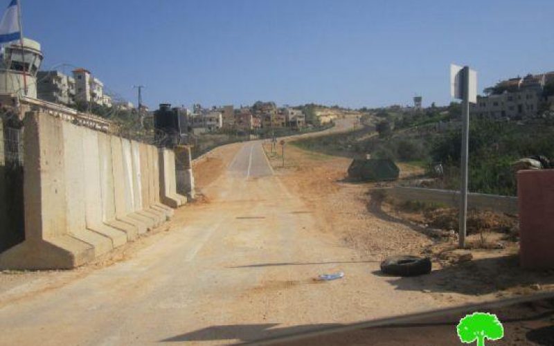 الاحتلال الإسرائيلي يبدأ في تنفيذ إقامة المقطع الشرقي من الجدار العنصري في قرية عزون عتمة