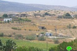 Israeli troops confiscate two cows in Furush Beit Dajan Village