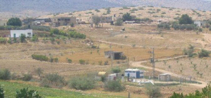 Israeli troops confiscate two cows in Furush Beit Dajan Village