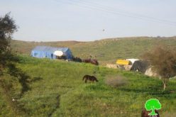 اخطار عائلتين بدويتين بوقف البناء في الأغوار الشمالية