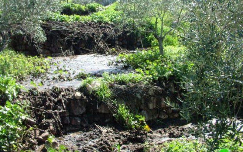 Pumping sewerage and manure to Agricultural lands in Nahhalin