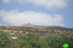 الاعتداء على المزارعين الفلسطينيين وسرقة عِددهم الزراعية في قرية بورين
