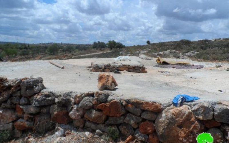 Colonists Cut Down 70 Olive Seedlings north of Yatma village