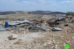 Demolition of a Shed in Ad Deirat