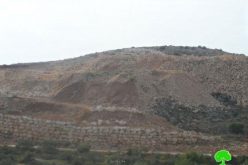 Forging of History in Deir Saman