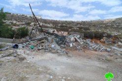 الاحتلال يهدم حظيرة لتربية المواشي في حي البقعة شرق الخليل