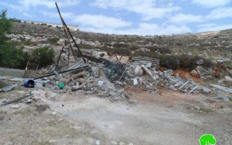 الاحتلال يهدم حظيرة لتربية المواشي في حي البقعة شرق الخليل