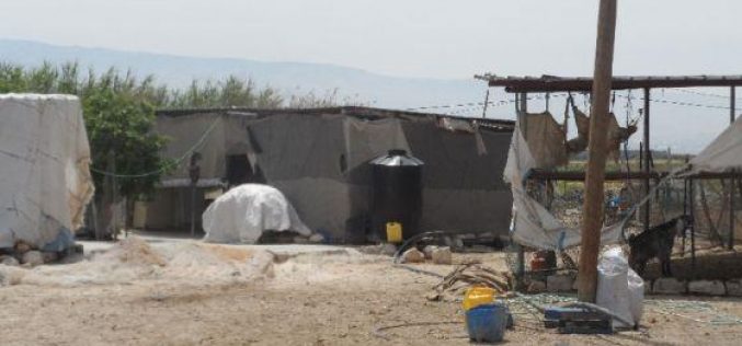 إخطار منشآت (12) عائلة بدوية في قرية الجفتلك بوقف البناء /محافظة أريحا