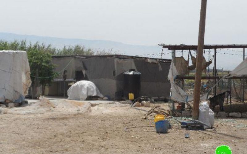 Israeli Stop-work orders for 14 residences and 17 sheds in Jiftlik village– Jericho