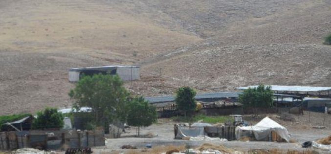 إخطار 5 عائلات بدوية بوقف البناء لمنشآتهم السكنية والزراعية / محافظة طوباس