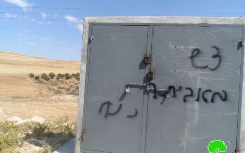 Cutting down 63 olive trees in At Tawani village near Yatta – Hebron.